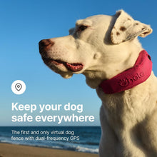 Load image into Gallery viewer, All-New GPS Wireless Dog Fence &amp; Training Collar - Waterproof, Orchid Color