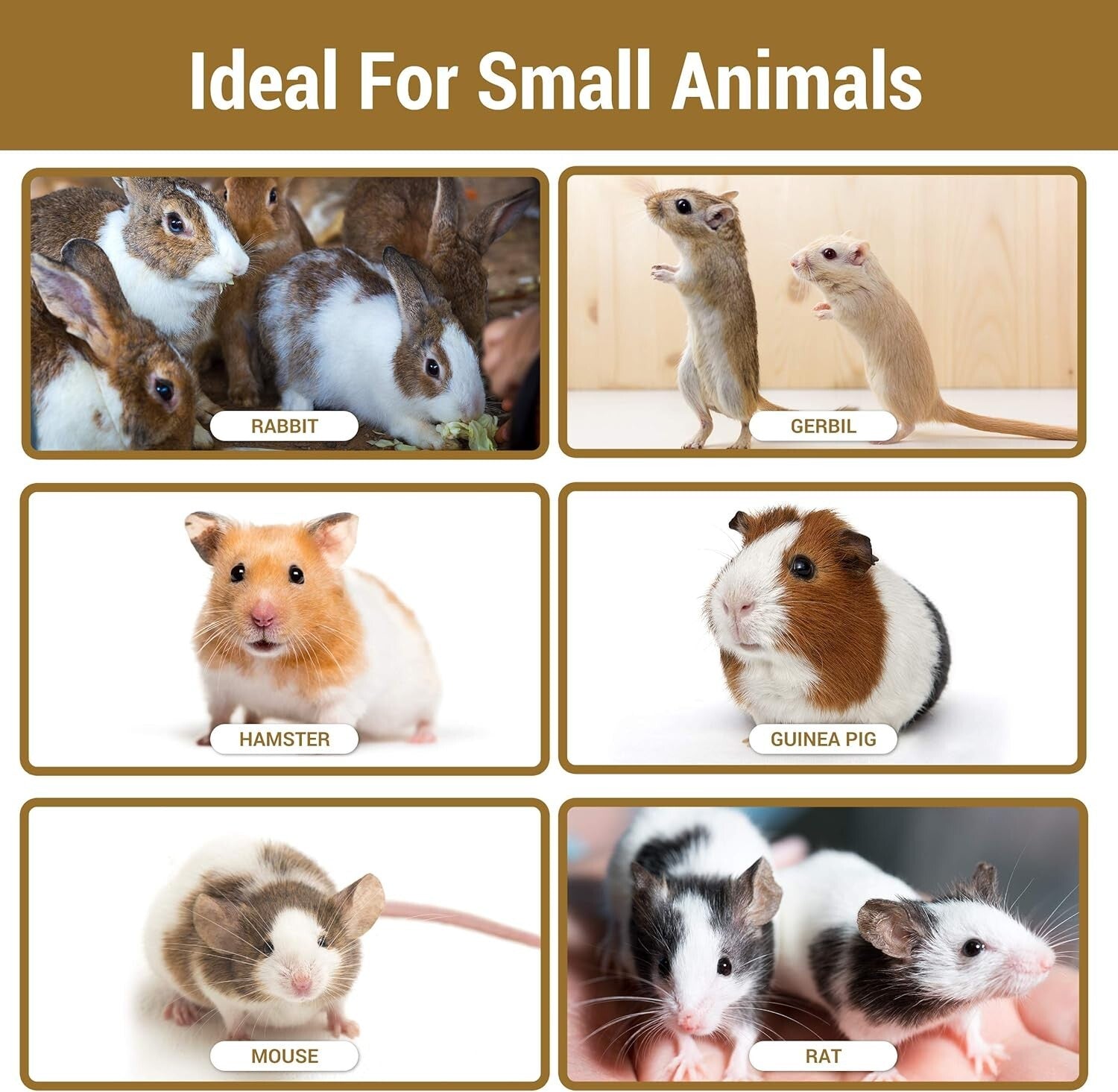 16 Quart Pine Bedding for Small Animals | Absorbent, Eco-Friendly, Made in USA