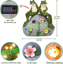 Load image into Gallery viewer, Colorful and Waterproof Solar Garden Frog with Succulent - Housewarming Gift