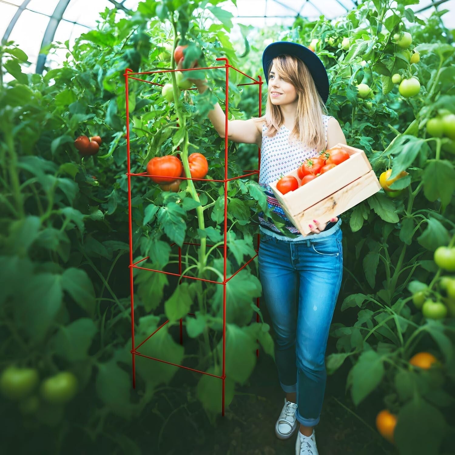 Adjustable Tomato Cages 6 Pack - Perfect 46 Inch Red Support for Climbing Plants