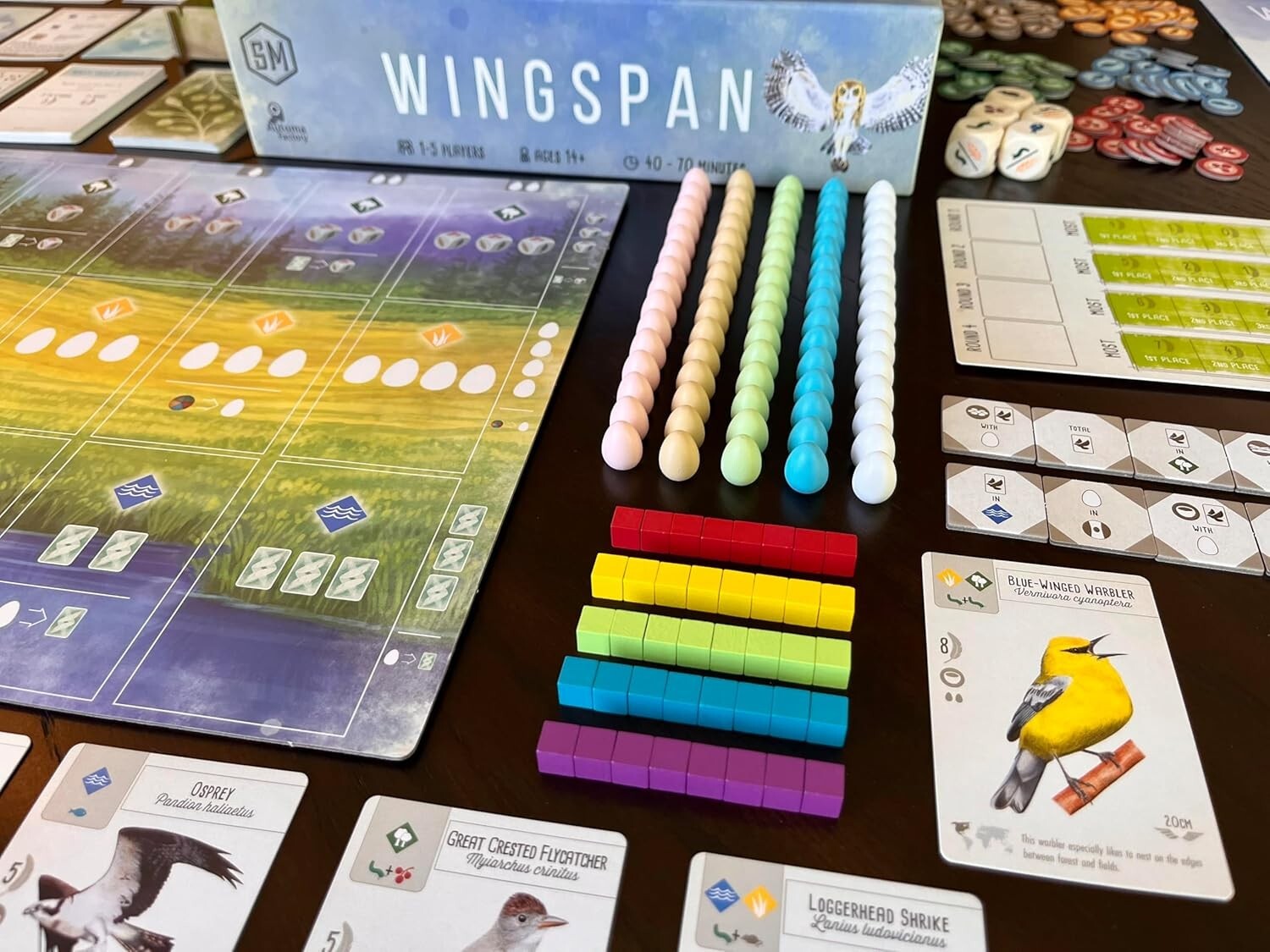 Wingspan Board Game - Beautifully Illustrated Strategy for Bird Lovers (14+)