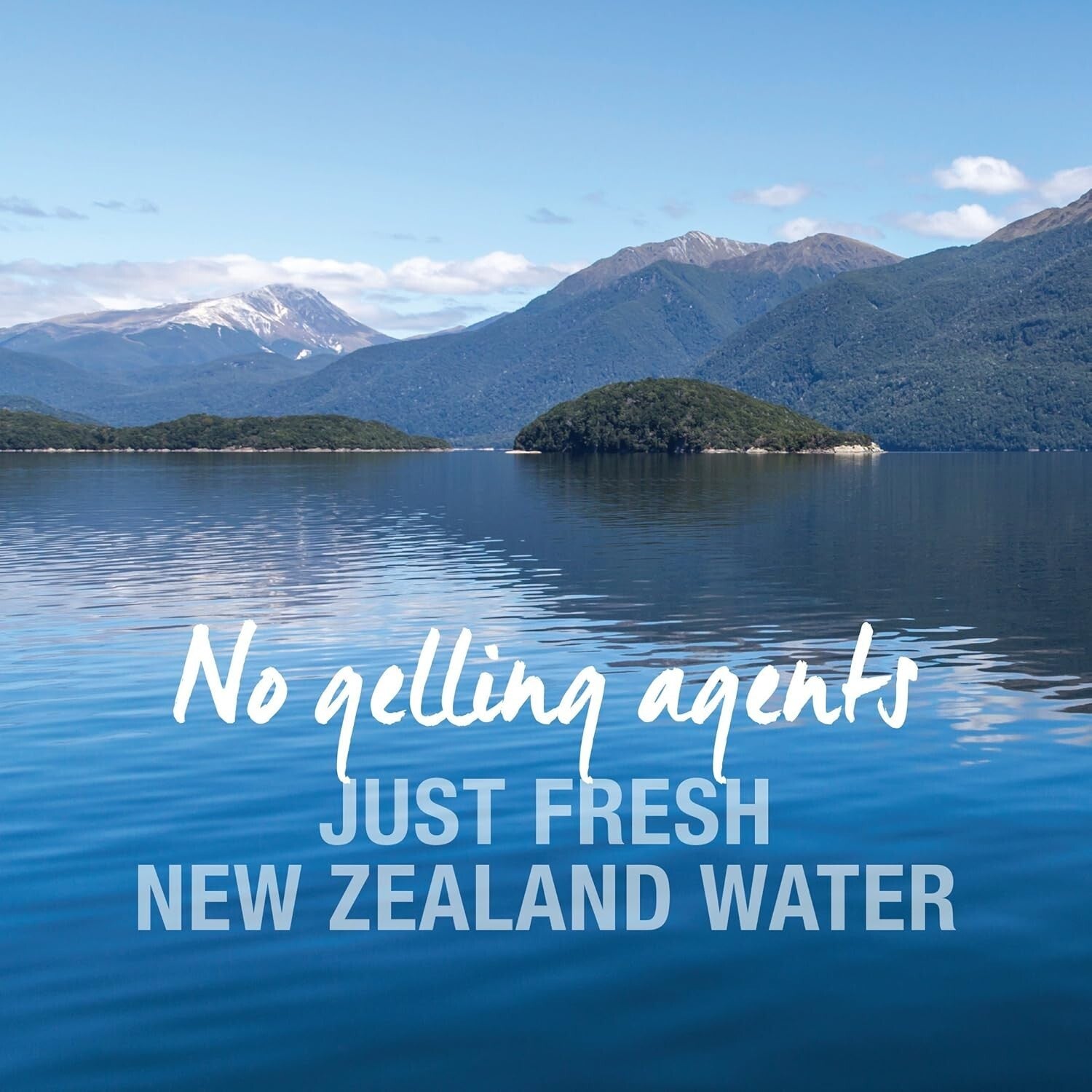 Hydration Boosting Chicken Feast Pate - 24 x 3 Ounce Grain-Free Cat Meals