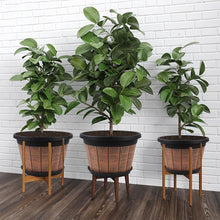 Load image into Gallery viewer, Large 14" Retro Plant Pots for Flower Gardening - Pack of 4 with Drainage Tray