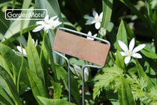 Load image into Gallery viewer, Durable 50-Pack Weatherproof Copper Name Plate Labels for Garden &amp; Home Plants