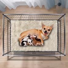 Load image into Gallery viewer, Portable Dog Whelping Box with Lockable Wheels - Ideal for Small &amp; Medium Breeds