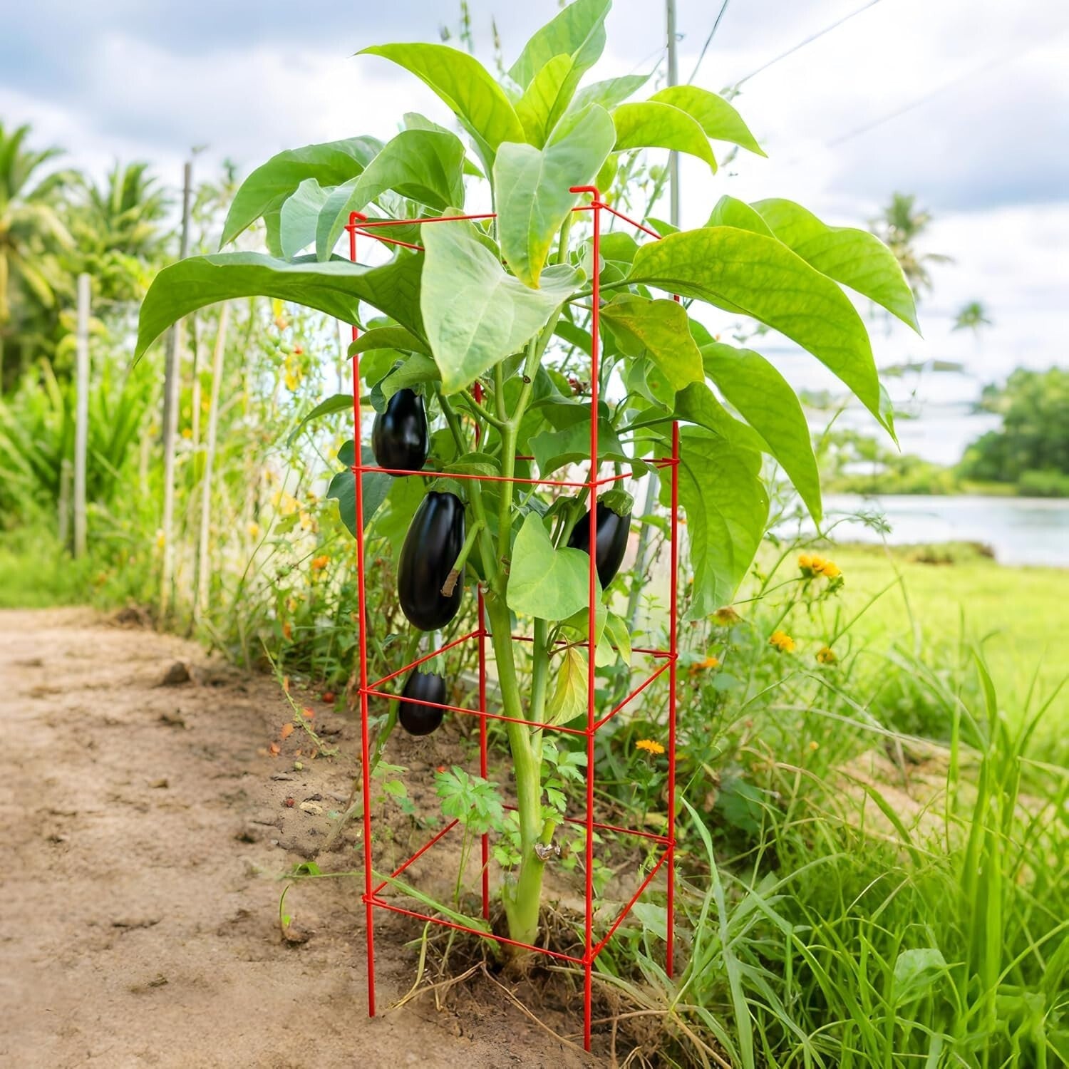 Adjustable Tomato Cages 6 Pack - Perfect 46 Inch Red Support for Climbing Plants