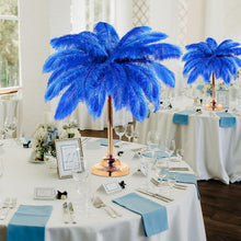 Load image into Gallery viewer, Natural 14-16 Inch Blue Ostrich Feathers - Perfect for Wedding Centerpieces