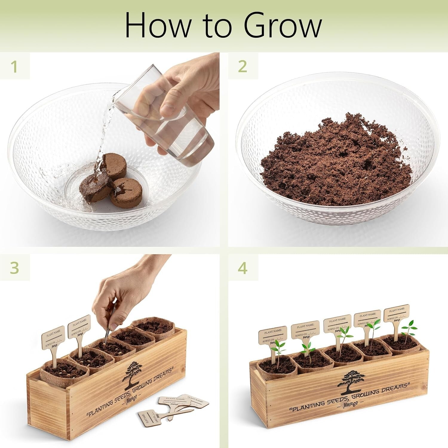 Organic Bonsai Tree Growing Kit with Easy Instructions – Ideal for Beginners