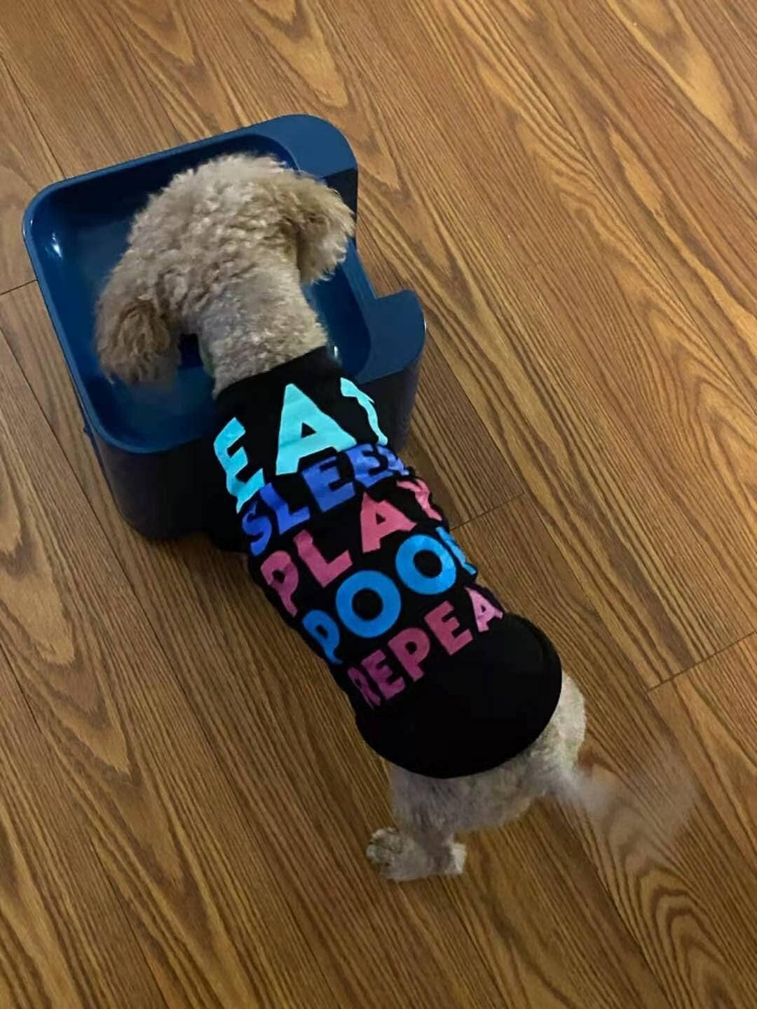 Rechargeable Automatic Tennis Ball Thrower for Medium & Big Dogs - 3 Balls