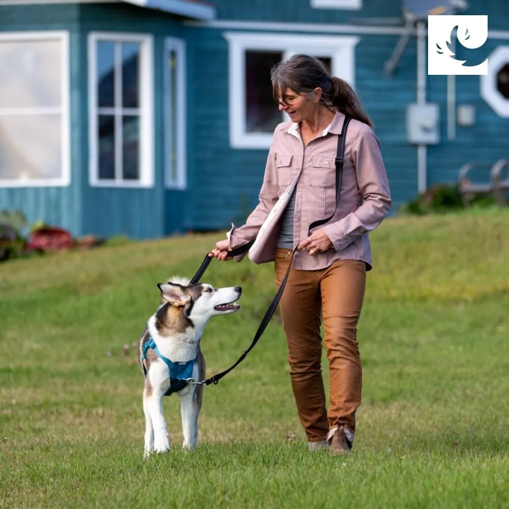 Adjustable Medium Dog Harness - No Pull Design with Reflective Safety Accents
