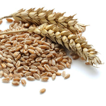 Load image into Gallery viewer, 30-Year Storage Hard White Wheat Pail - Ideal for Survival, Camping &amp; Daily Use