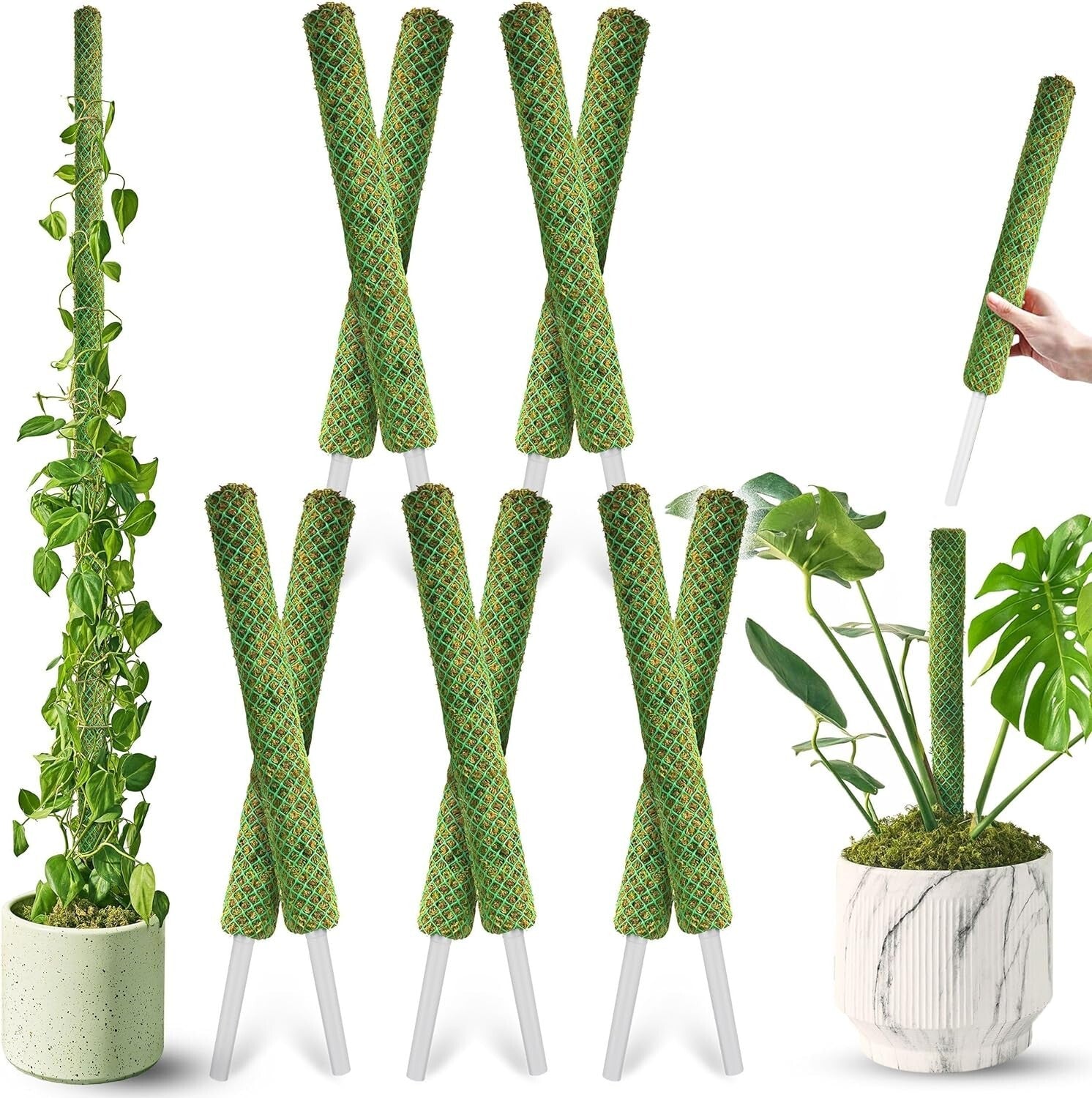 Elegant 22'' Indoor Plant Stakes - Stackable Support Poles for Climbing Plants