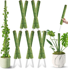 Load image into Gallery viewer, Elegant 22'' Indoor Plant Stakes - Stackable Support Poles for Climbing Plants