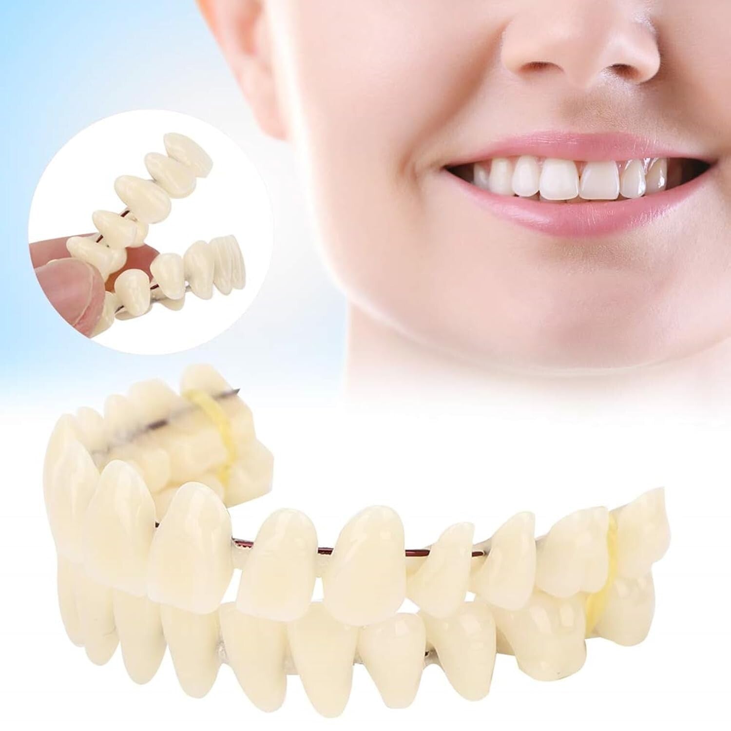 Customizable Teaching Model Set of 280 Resin Dentures for Dentistry Students