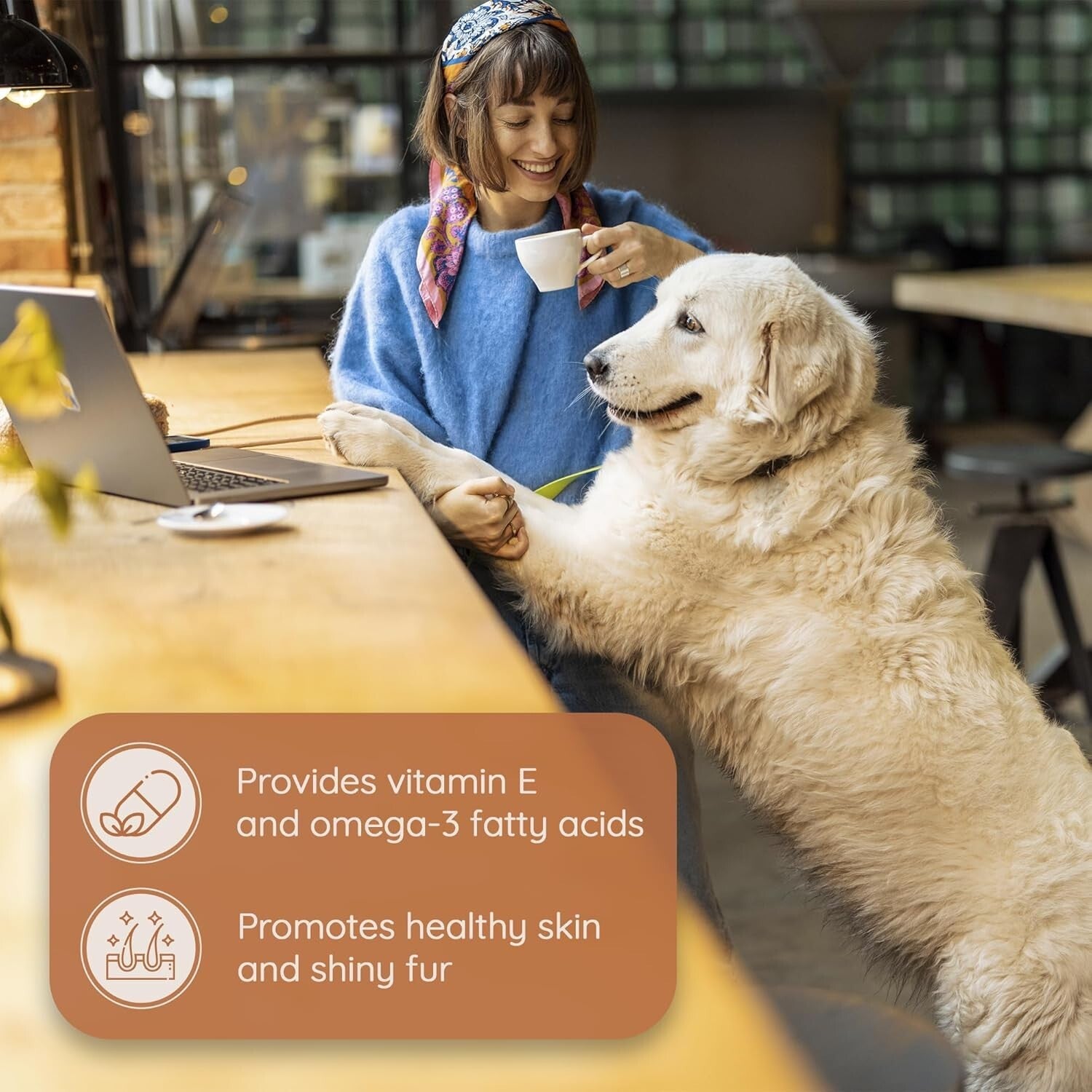 Long-Lasting Olive Wood Dog Chew with Olive Oil - Promotes Dental Health