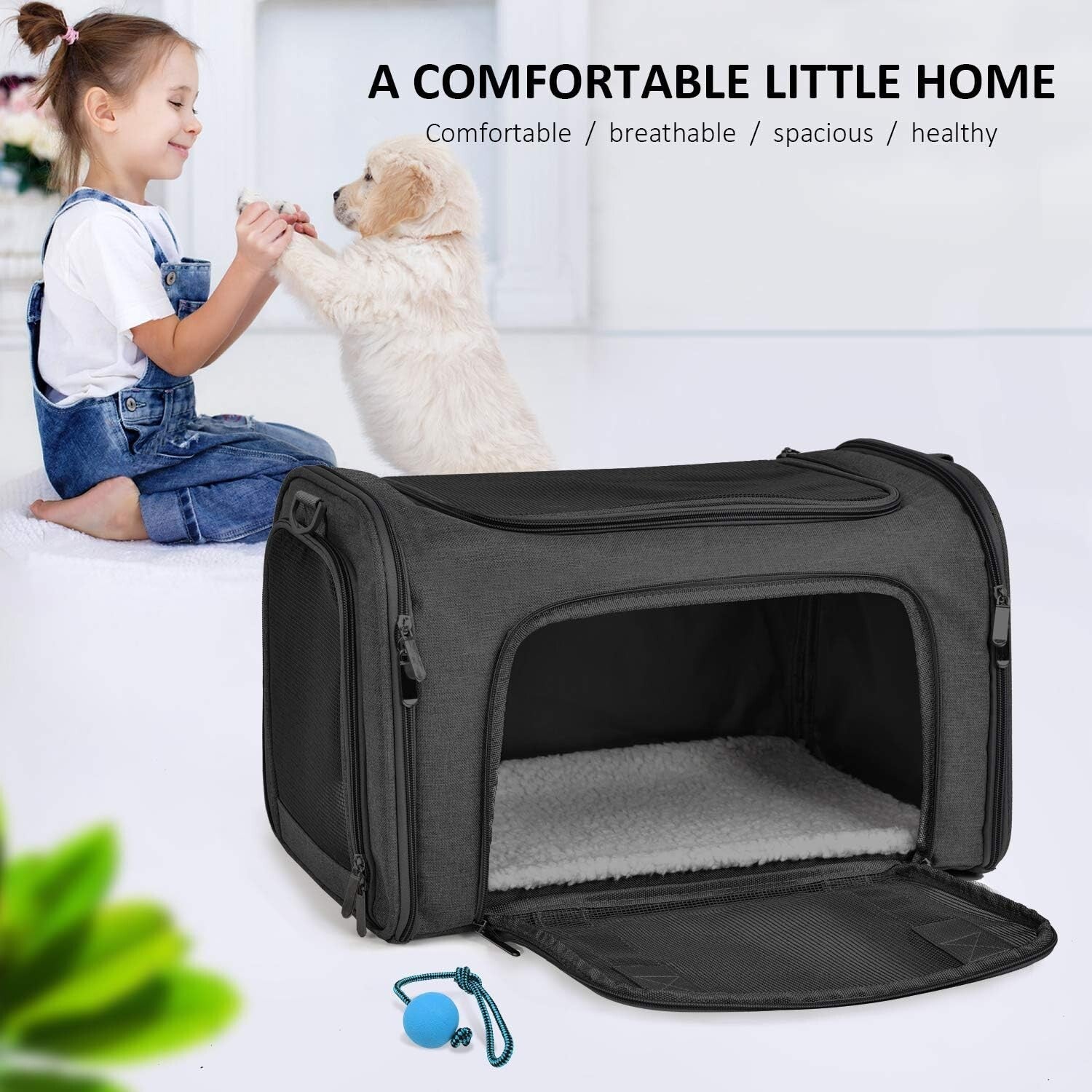 Durable Collapsible Pet Carrier for Cats and Small Dogs - Lightweight & Portable