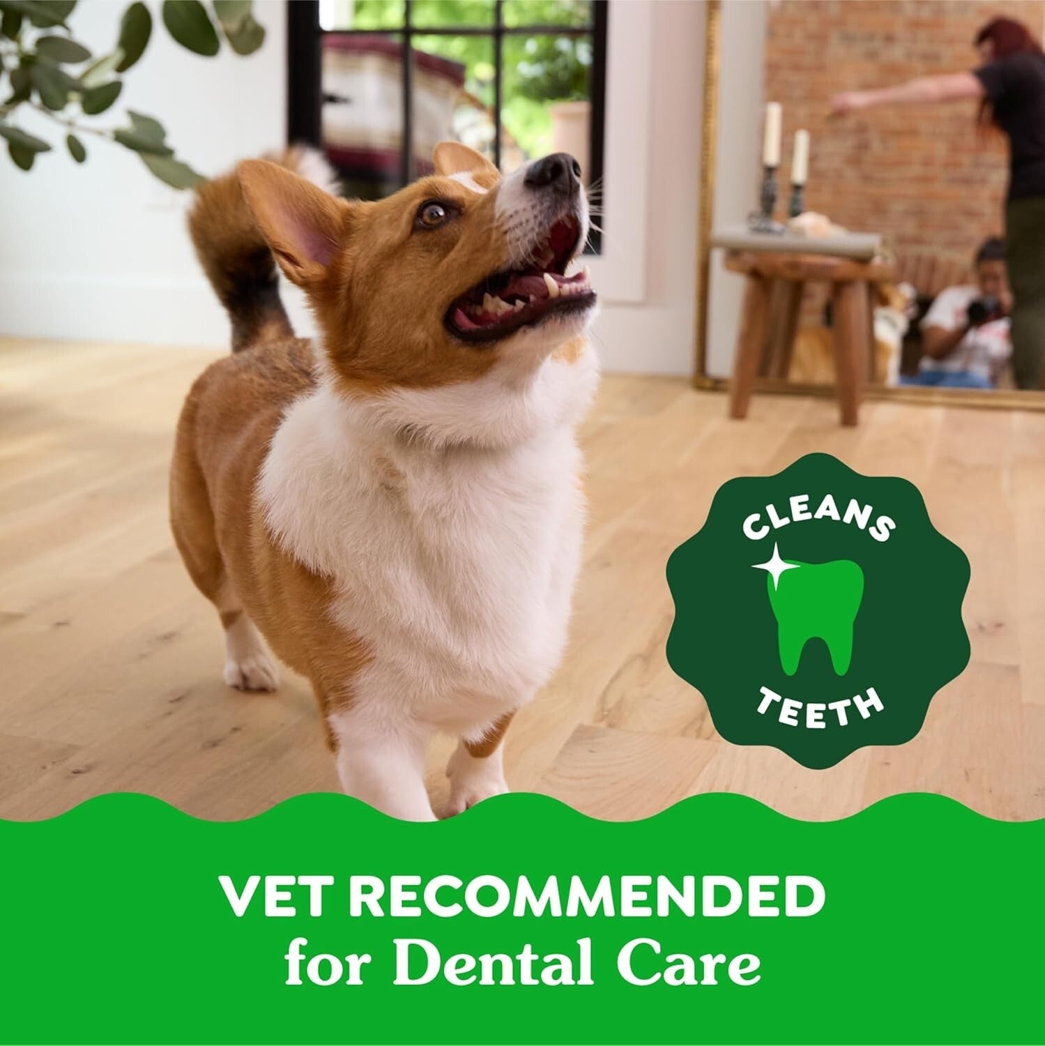60 Piece Petite Dog Dental Treats - Minty Fresh & Blueberry Flavor for Care