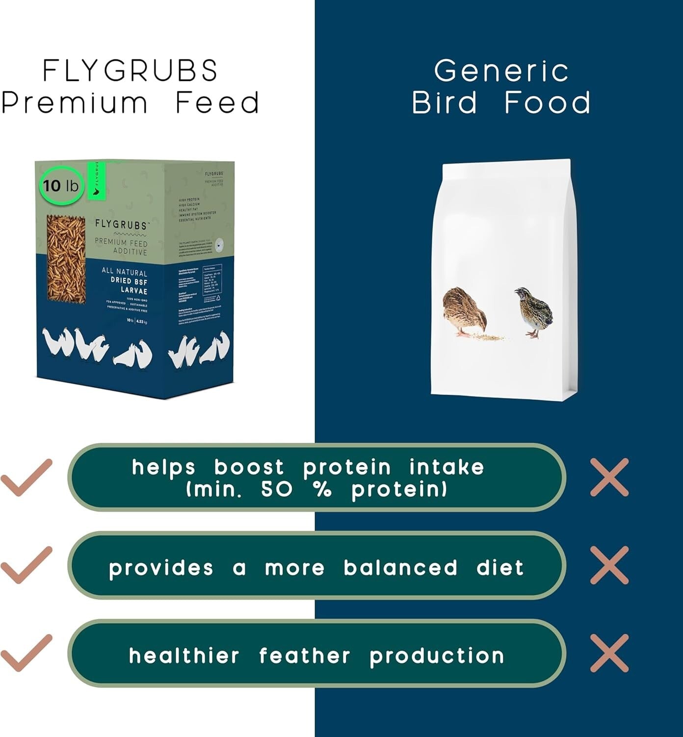 10 lbs Dried Black Soldier Fly Larvae - Protein-Rich Calcium Treats for Chickens