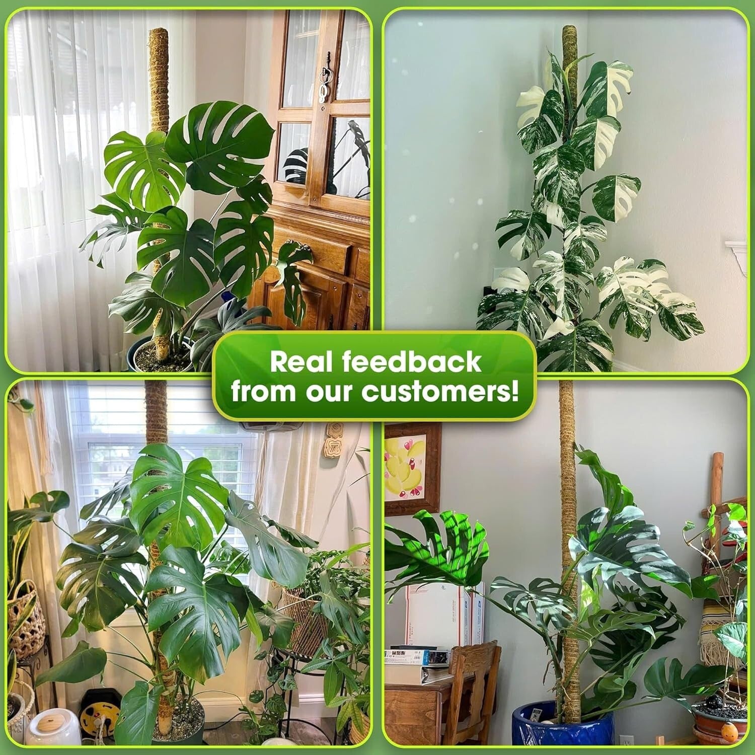 59'' Sturdy Moss Support Pole for Tall Plants - Perfect for Indoor Gardens