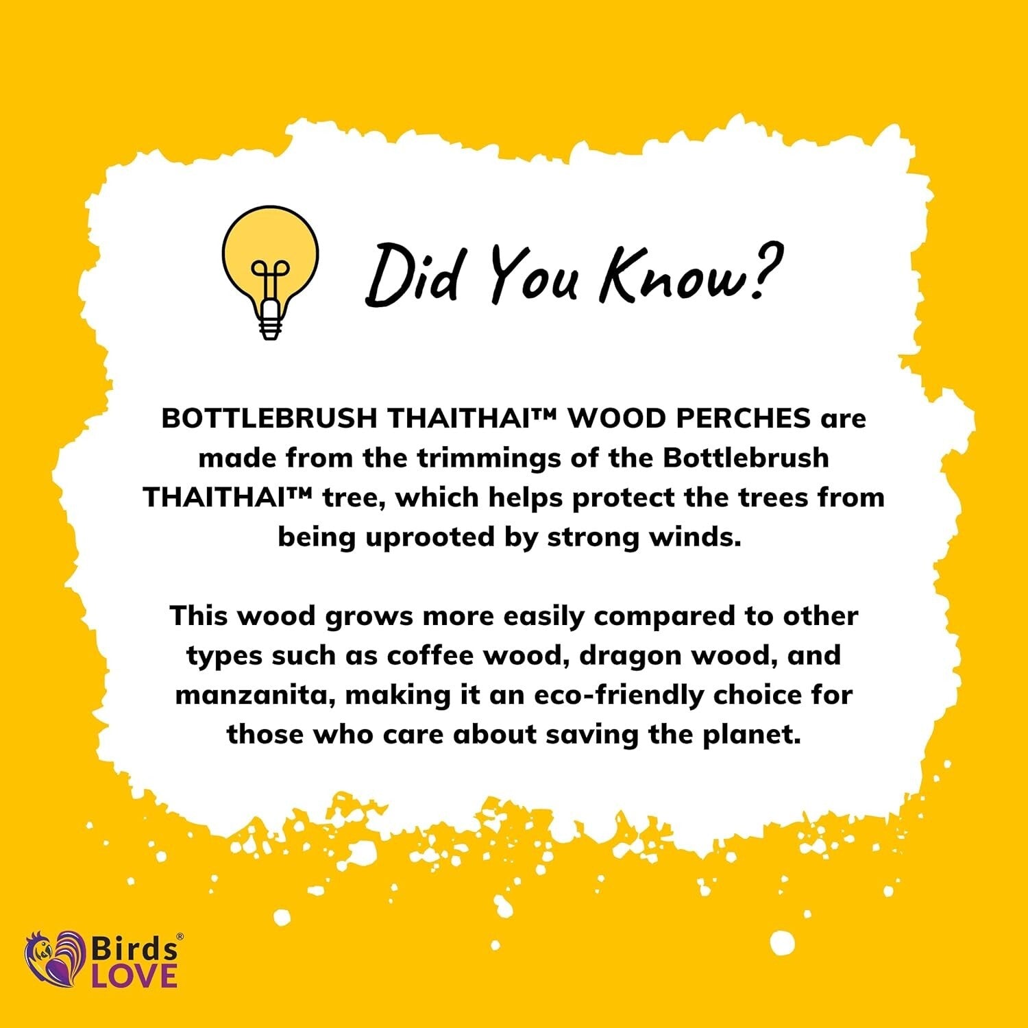 Large Natural Wood Bird Perches for Macaws & Large Parrots – Eco-Friendly Stands