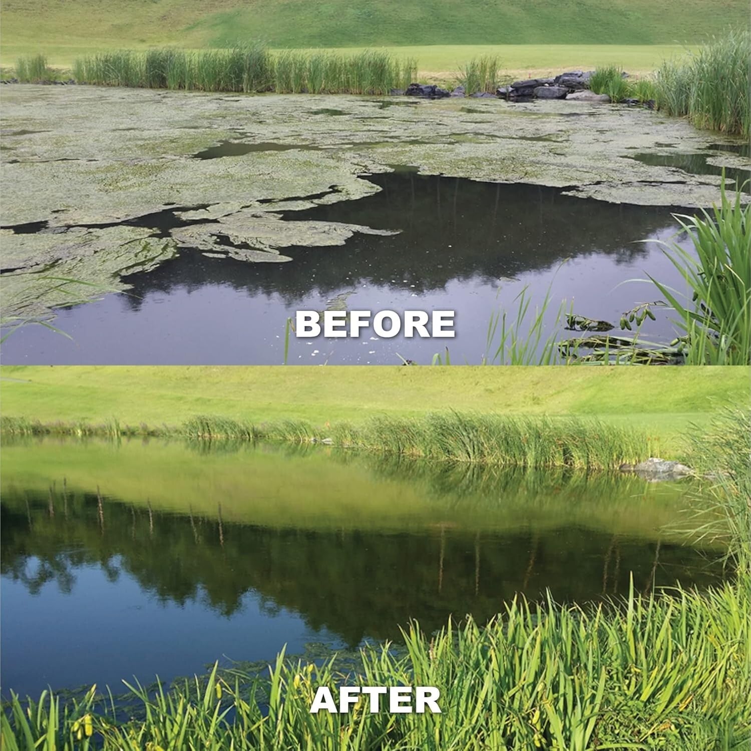 Non-Chemical Pond Cleaner with Time Release Blocks - Safe for Fish & Wildlife
