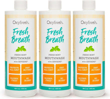 Load image into Gallery viewer, Soothing Mint Mouthwash - Alcohol &amp; Fluoride Free, 16 oz - Healthy Gums