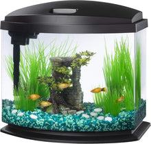 Load image into Gallery viewer, All-Inclusive 5 Gallon MiniBow Aquarium with SmartClean – Perfect for Betta Fish
