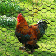 Load image into Gallery viewer, Versatile 12" x 150' Black Chicken Wire with Sturdy Hexagonal Mesh for Fencing