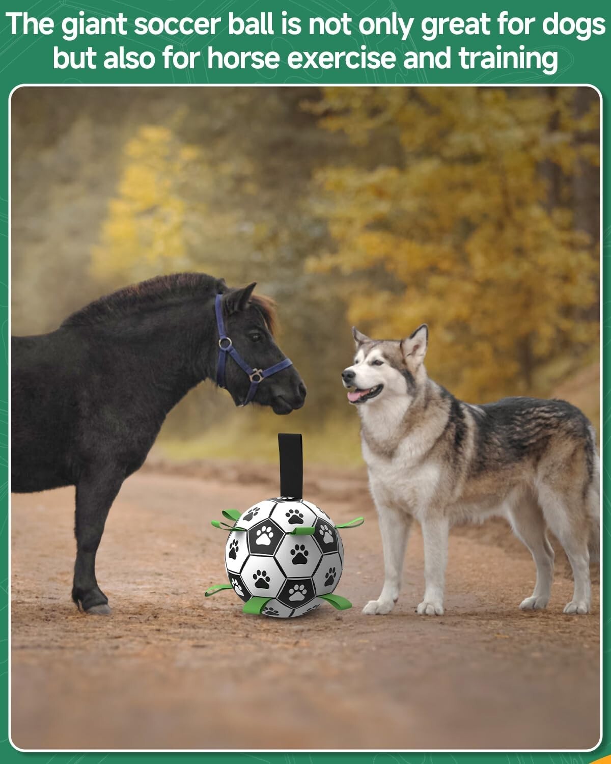 Giant Dog Soccer Ball with Nylon Straps - 10 Inch, Perfect for Active Breeds
