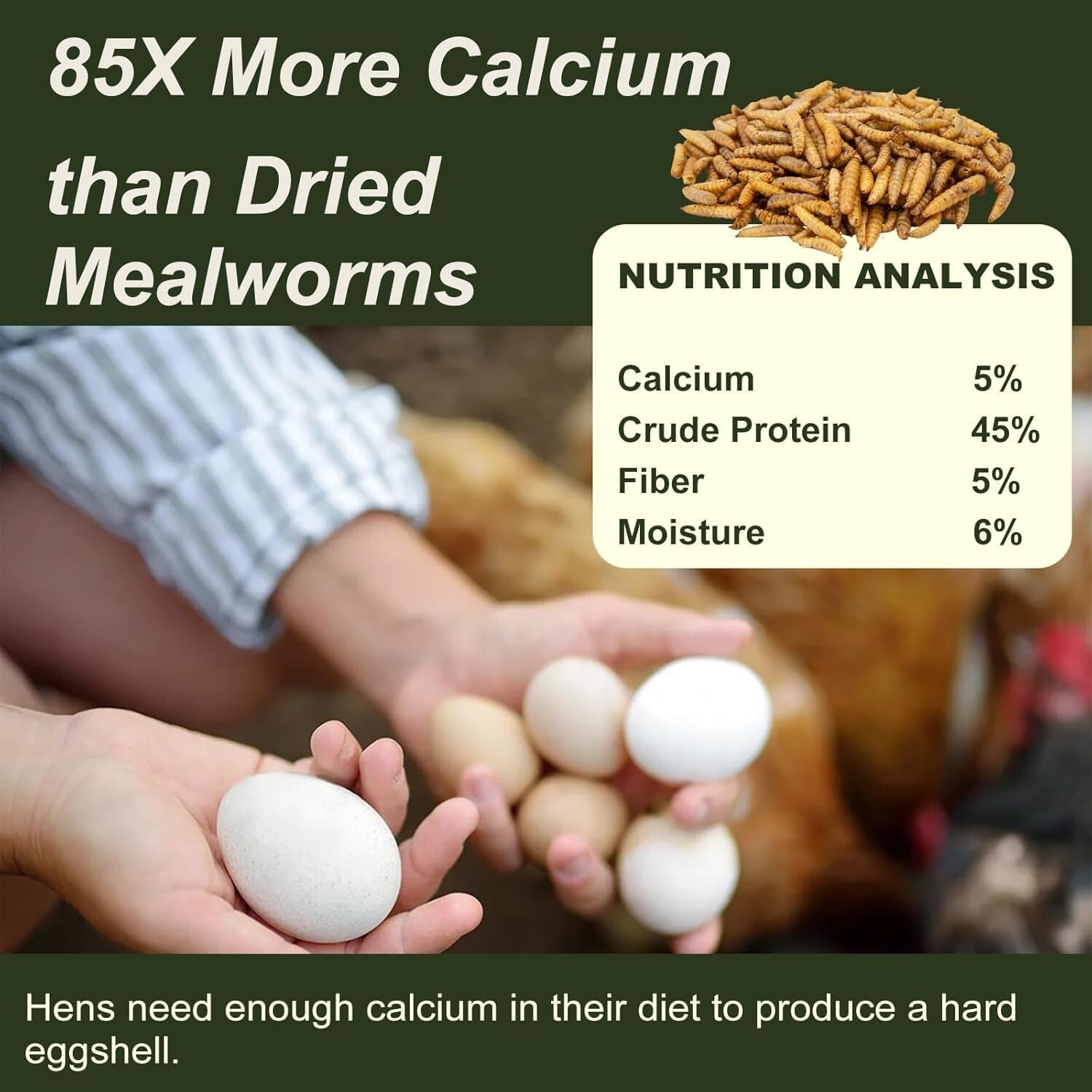 Sustainable 10LB Dried Black Soldier Fly Larvae - Premium Nutrition for All Pets