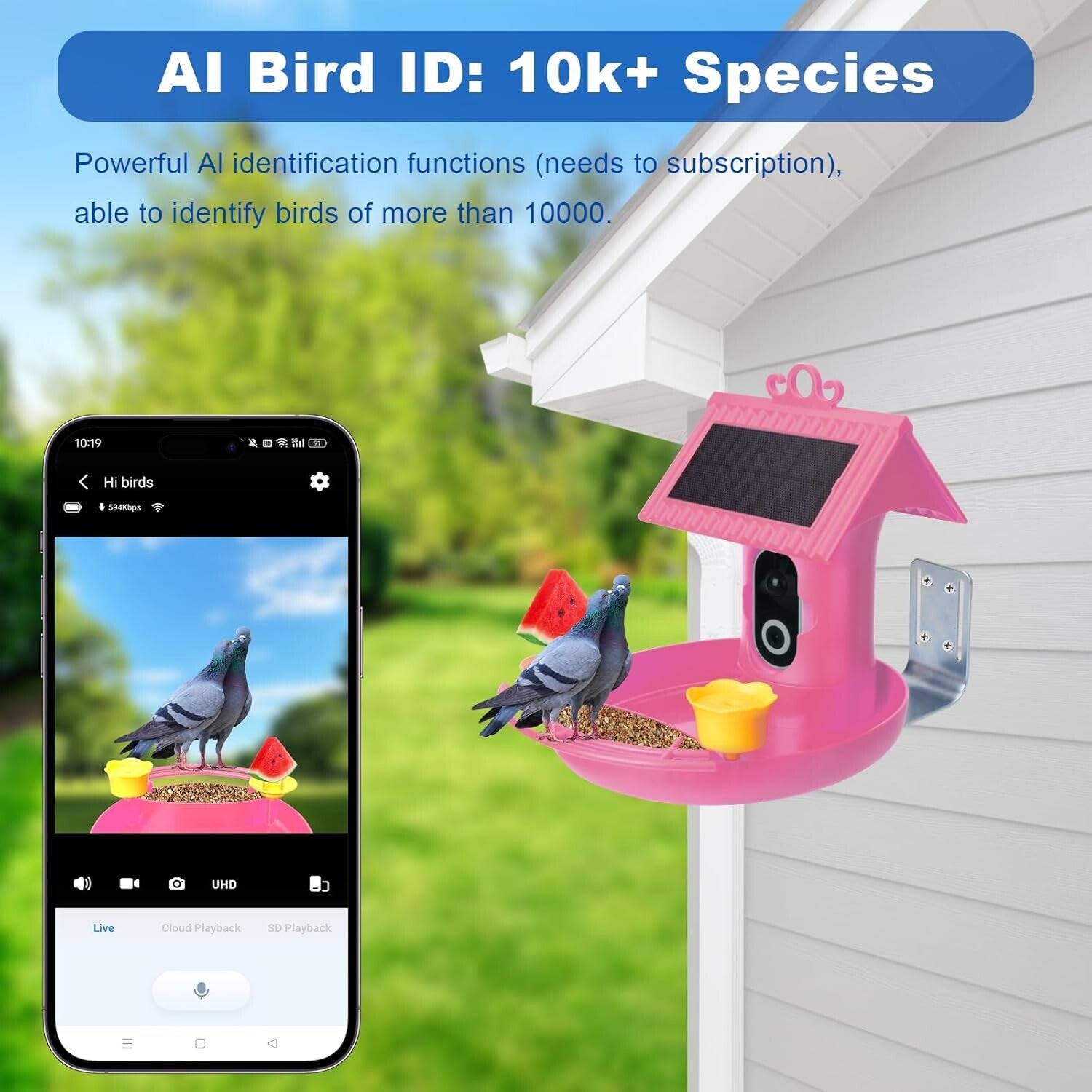 Smart Solar-Powered Bird Feeder with AI Recognition & Built-In Camera – Pink
