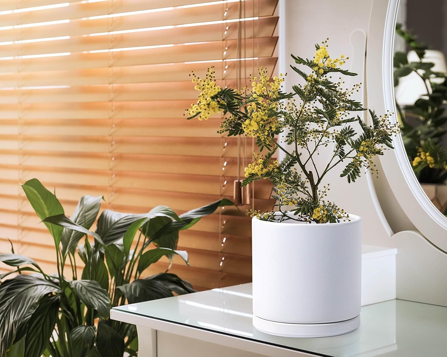 Durable Set of 2 Glazed Ceramic 8-Inch Planters with Drainage Accessories