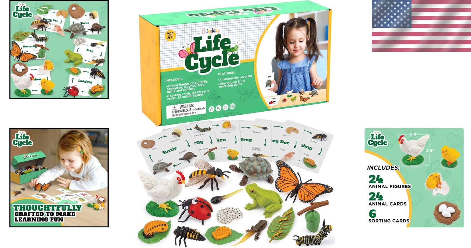 Engaging Montessori Animal Life Cycle Kit – 3D Matching Game for Young Learners
