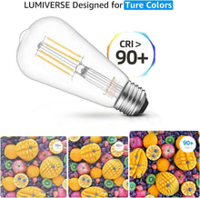 Load image into Gallery viewer, 16 Pack Dimmable LED Edison Bulbs - 5.5W Cool White E26 Base for Elegant Spaces