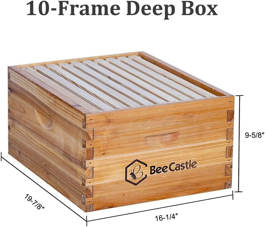 10-Frame Langstroth Beehive Kit - Complete Setup with Beeswax Foundation Sheets