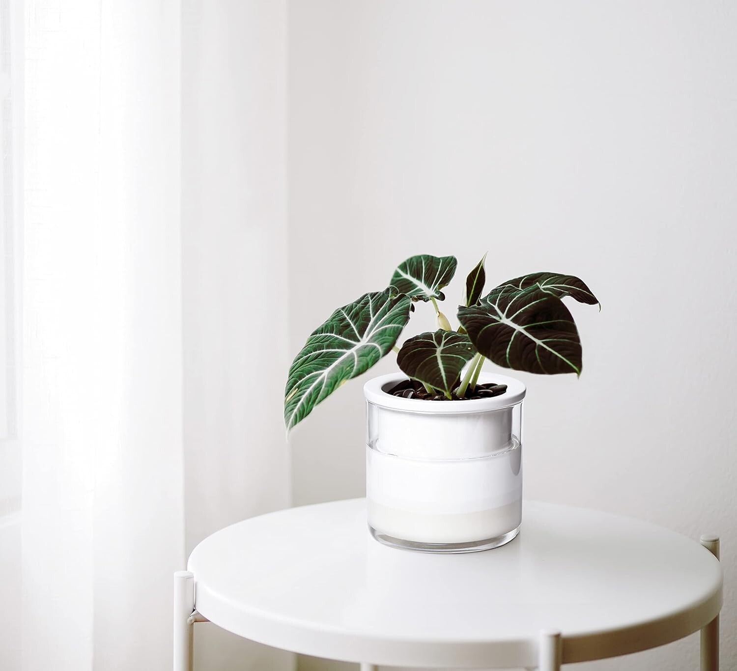 Elegant 4" Modern Terracotta Pots with Glass | Indoor Self-Watering Planters