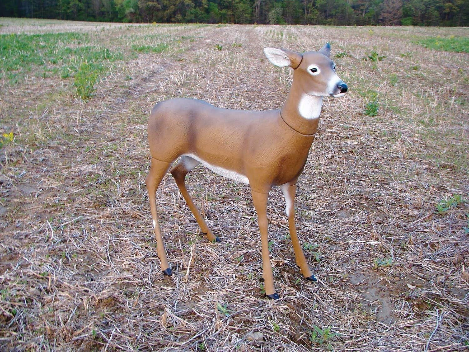 Field-Proven Aluminum Deer Decoy with Adjustable Ears - For Serious Hunters