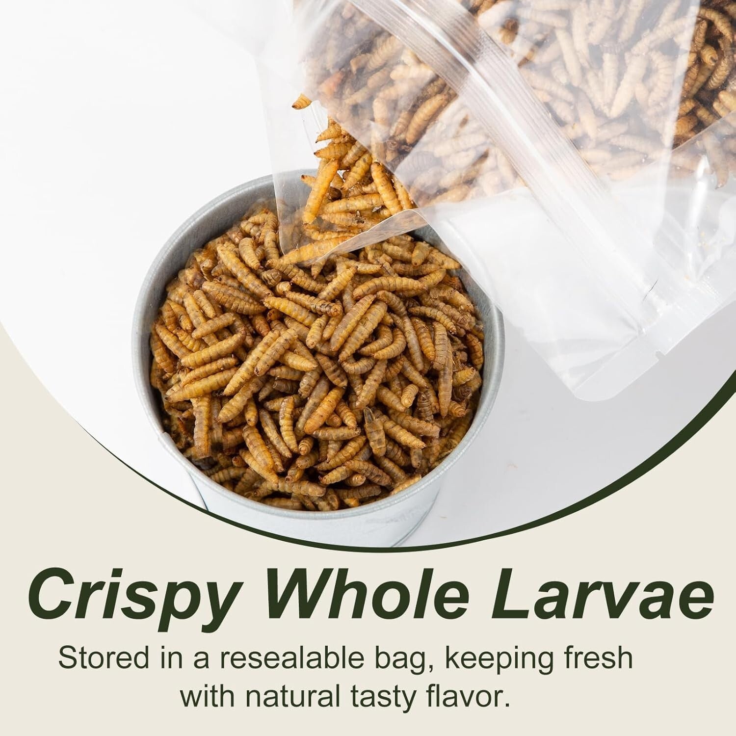 Sustainable 10LB Dried Black Soldier Fly Larvae - Premium Nutrition for All Pets