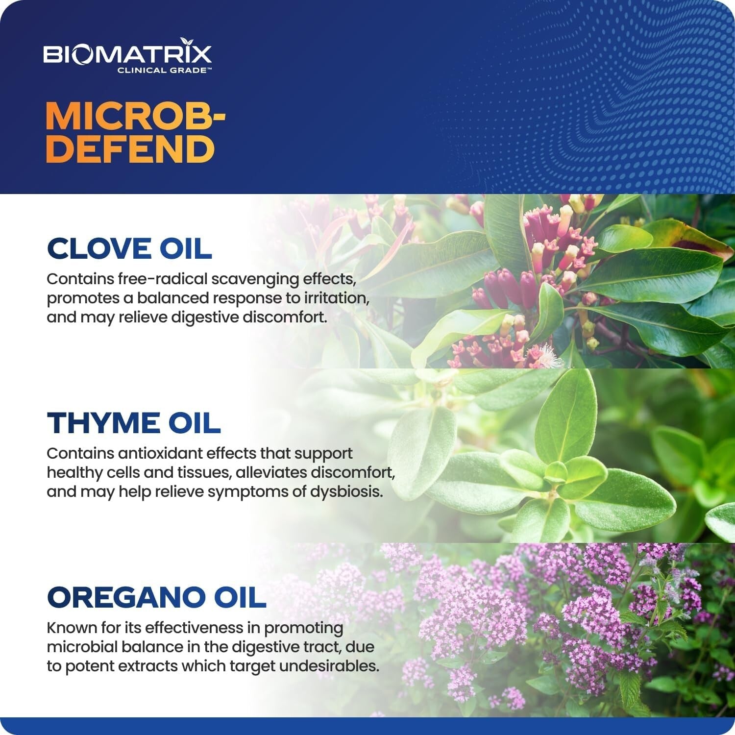 Essential Oil Blend Digestive Softgels - Thyme, Oregano & Clove for Gut Balance