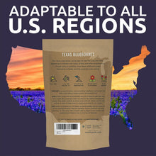 Load image into Gallery viewer, Texas Bluebonnet Wildflower Seeds - 1 lb Bulk for Vibrant Gardens - 16,000 Seeds