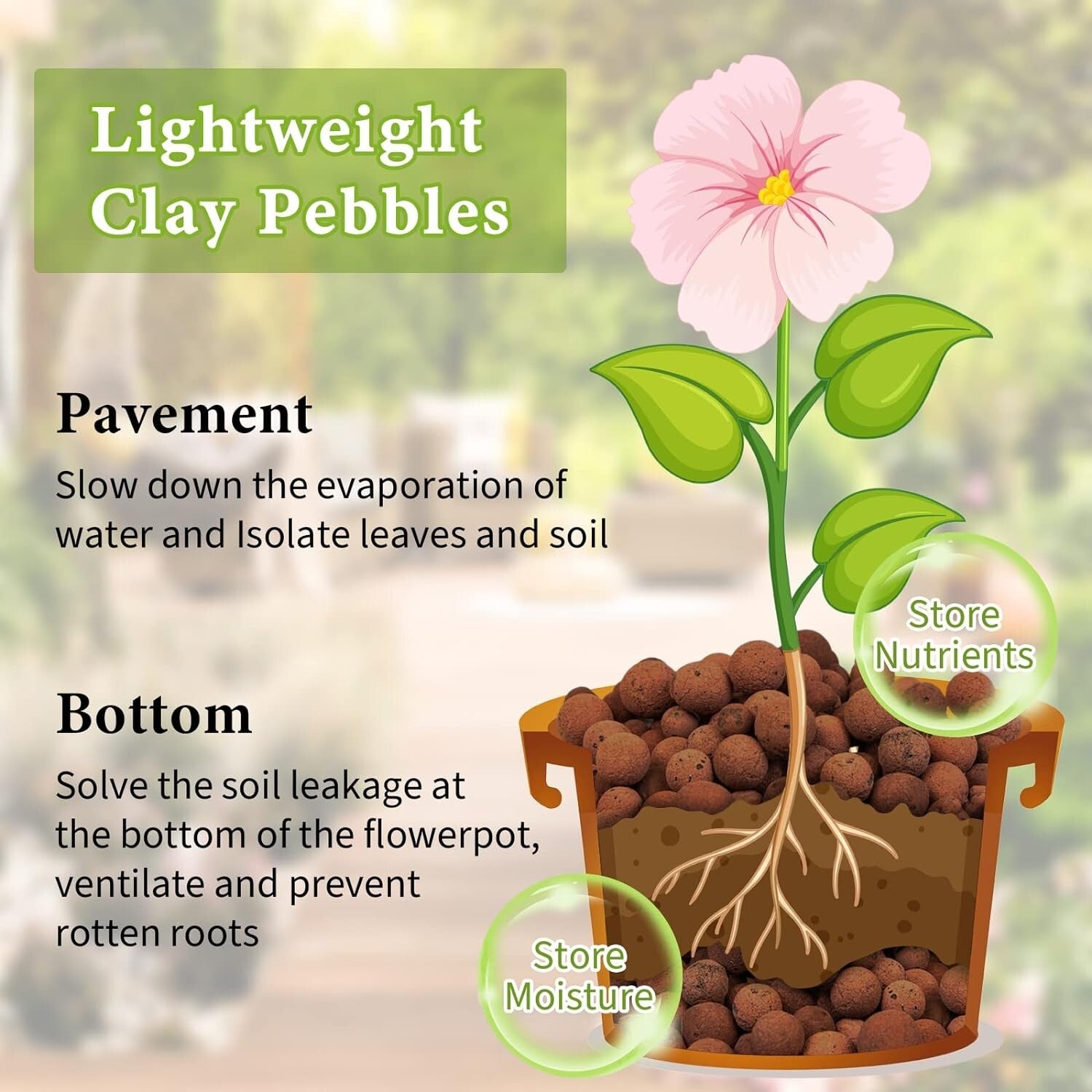Versatile Organic Expanded Clay Aggregate for Enhanced Plant Growth & Fertility