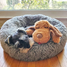Load image into Gallery viewer, Comprehensive Snuggle Puppy Starter Kit - Ultimate Comfort for New Dogs