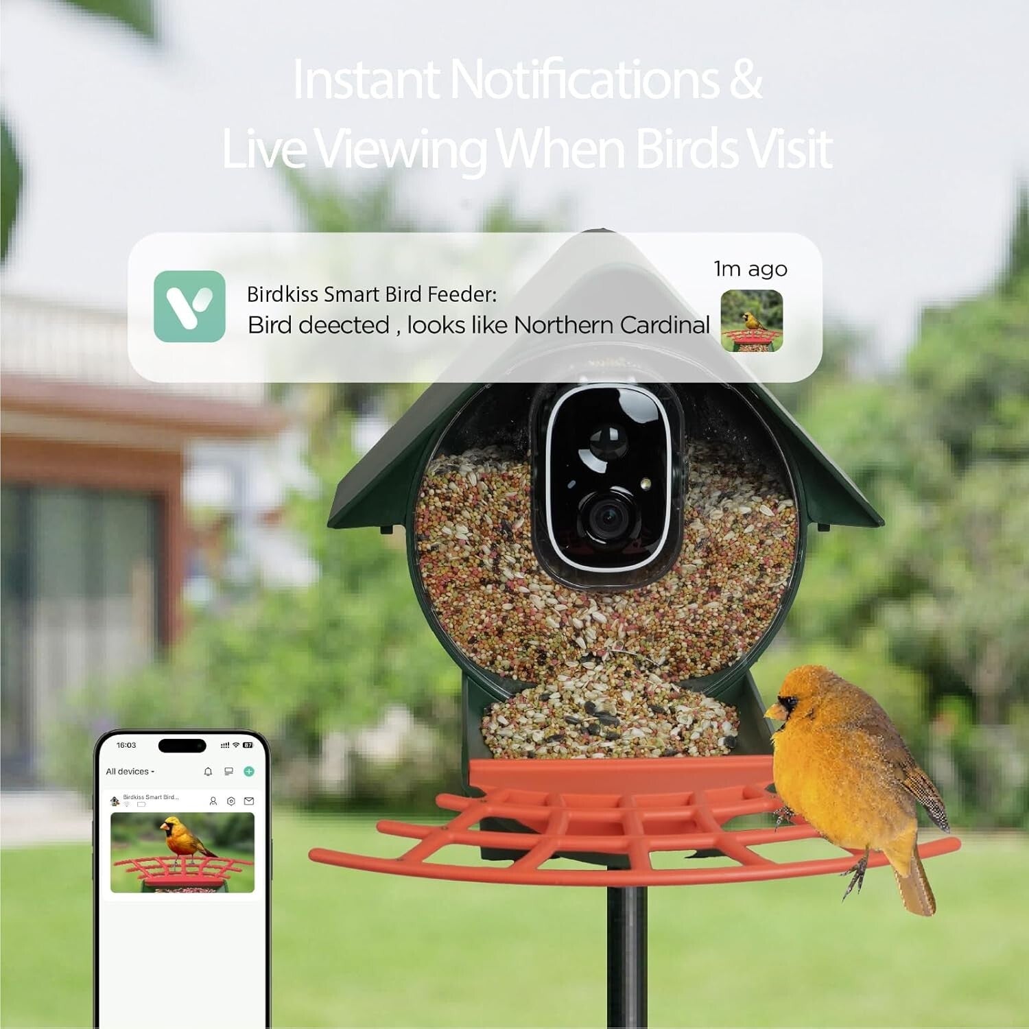1080P HD Bird Feeder Camera with Motion Detection - Perfect Gift for Bird Lovers
