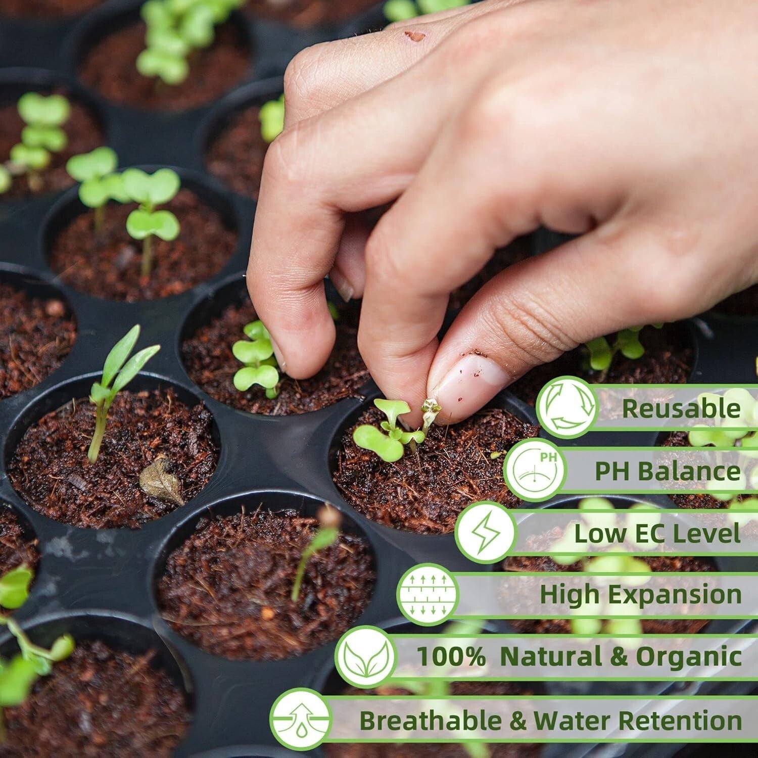 Coconut Coir Brick Soil - 24 Natural Compressed Fibers for Healthy Plants