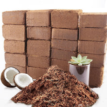 Load image into Gallery viewer, Nutrient-Rich Coconut Coir Fiber Bricks - Perfect for Seed Germination &amp; Growth