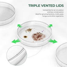 Load image into Gallery viewer, 500 Sterile Ethylene Oxide Petri Dishes - 100mm Diameter, Enhanced Vented Design