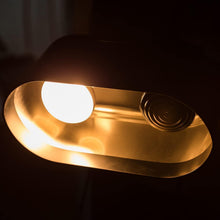 Load image into Gallery viewer, Reptile Lighting Kit: 100W UVA UVB Sunlamp and Ceramic Heat Emitter Included
