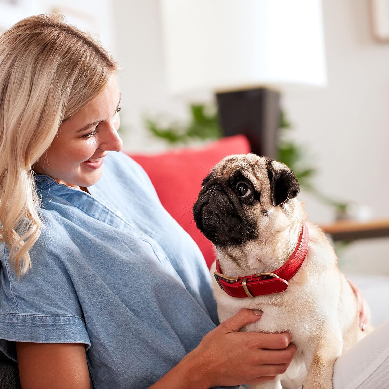 Dental Health Crunchy Treats for Small Dogs - 24 Oz Pack of 12 Biscuits