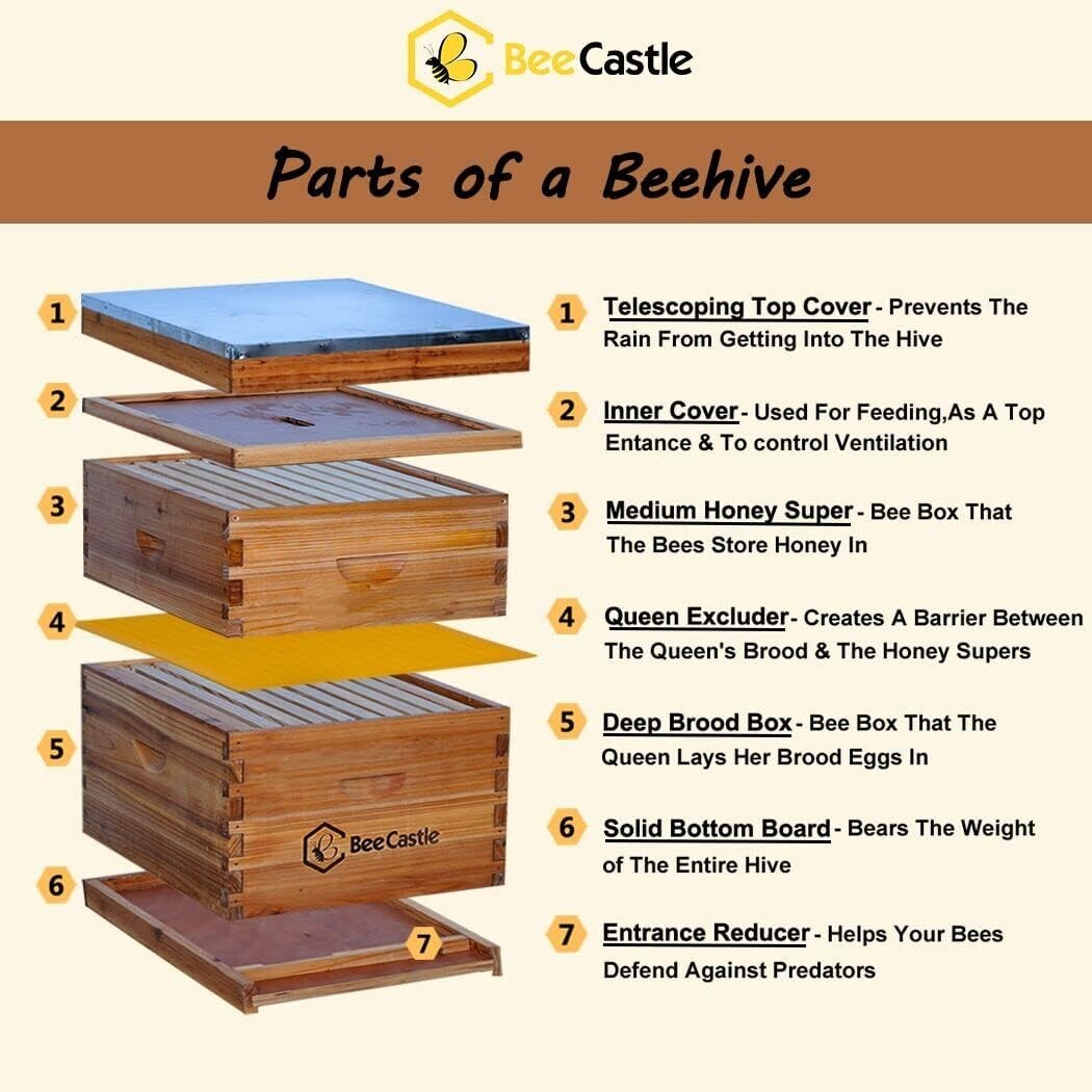 10-Frame Langstroth Beehive Kit - Complete Setup with Beeswax Foundation Sheets