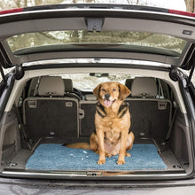 Load image into Gallery viewer, Versatile Pacific Blue Dog Door Mat - Absorbs Mud &amp; Water Fast, Machine Washable